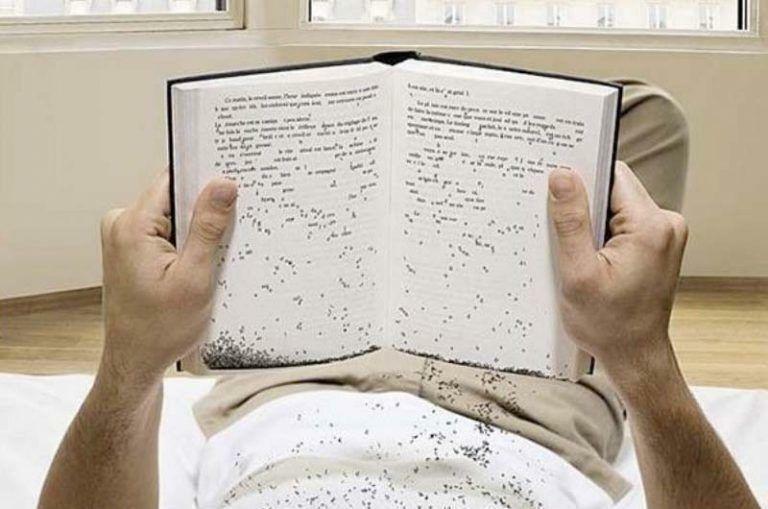 autores que no se interesan por sus lectores
