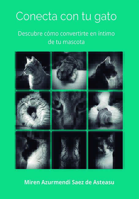 Reseña de «Conecta con tu gato» de Miren Azurmendi Saez de Asteasu