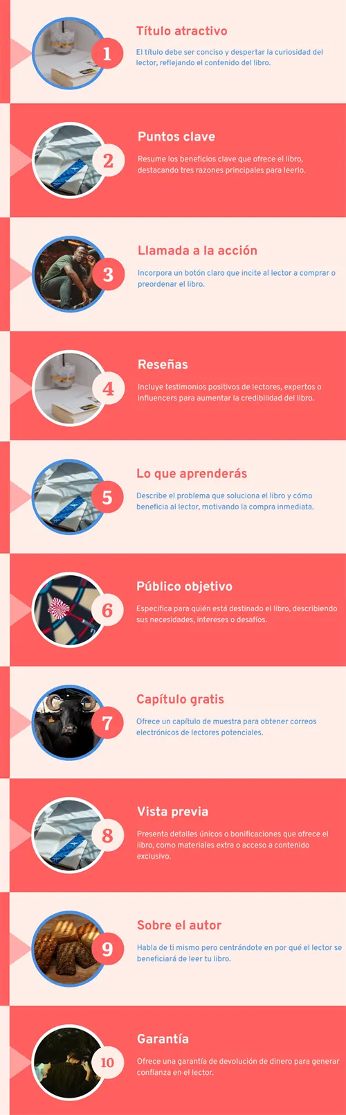 Infografía sobre el contenido que debe tener una landing page de un libro, con datos estadísticos y gráficas que muestran cómo los 11 puntos que deben tener.